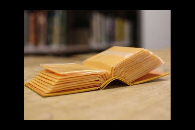 Denzer's artist's book, 20 Slices, a cheese book