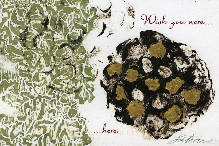 Carolyn Letvin's artist's book for the Wish You Were Here project