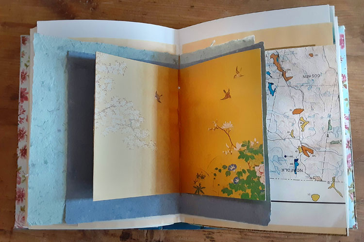 Artist's books by Andrea Case