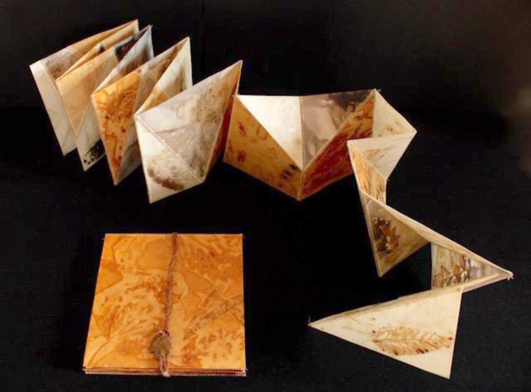 artist's book by Anita Gangi Balkun