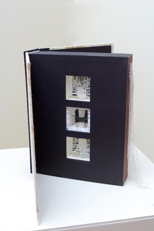 215 Ripples: diatom, artist's book by Chris Perry