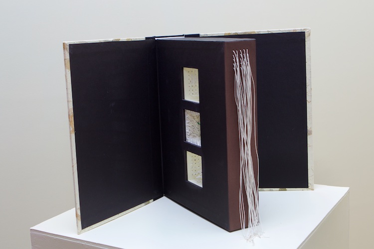 215 Ripples: diatom, artist's book by Chris Perry