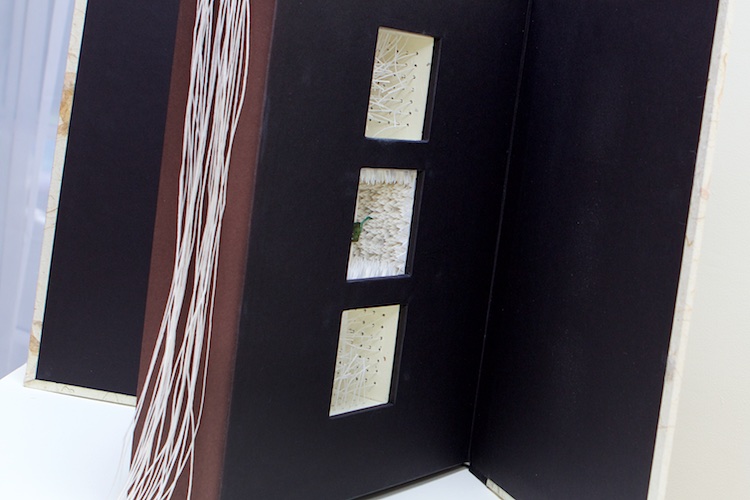 215 Ripples: diatom, artist's book by Chris Perry