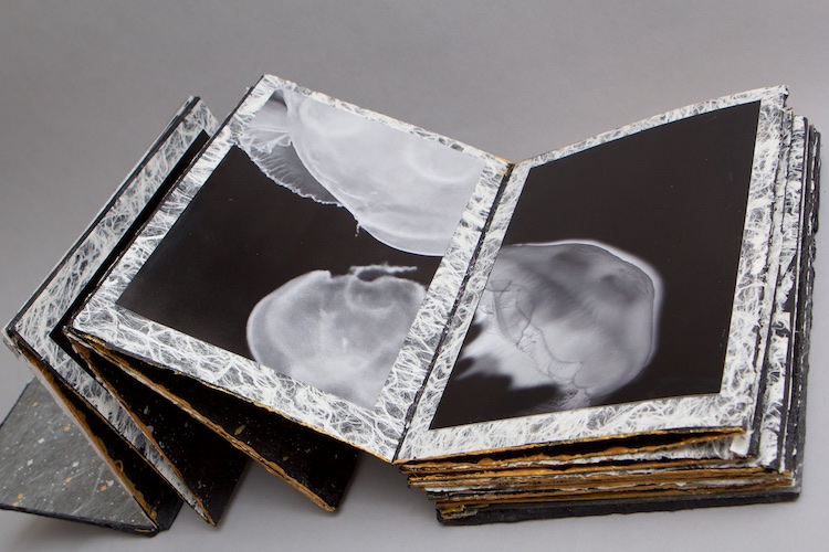 artist's book by Marie Canaves