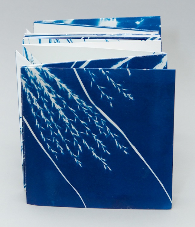 artist's book by Sally Chapman for NEBA's Cape Bound exhibition