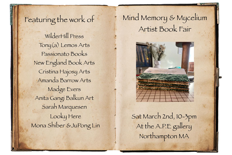 Book Fair promo for Mind, Memory, and Mycelium on March 2, 2024 in Northampton's A.P.E. Gallery