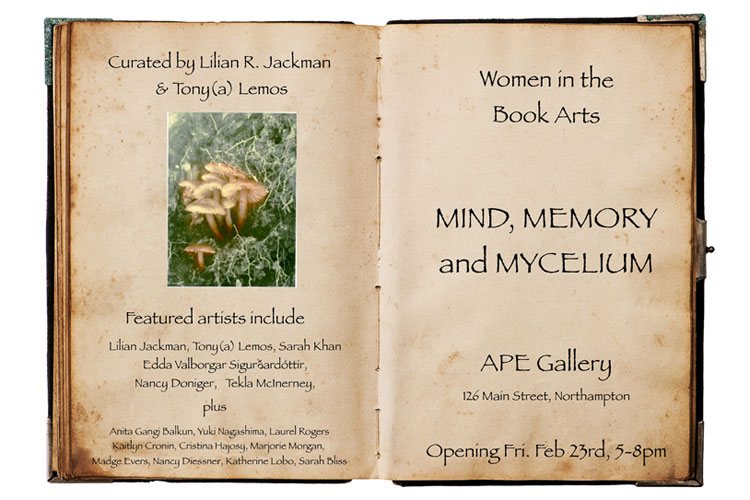 Exhibition promo for Mind, Memory, and Mycelium on March 2, 2024 in Northampton's A.P.E. Gallery