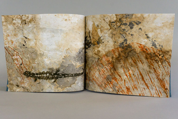 artist's book by Steve Daiber