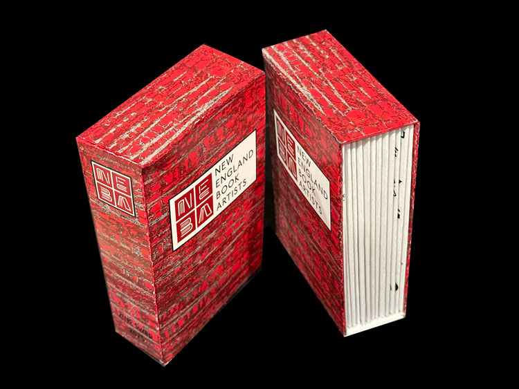 2025 NEBA Zine Swap collection